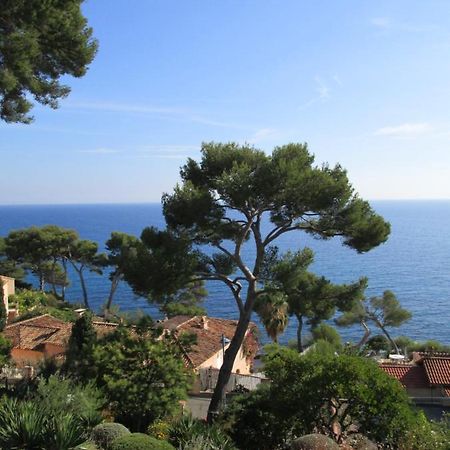 Les Bruyeres Bed & Breakfast Saint-Mandrier-sur-Mer Luaran gambar