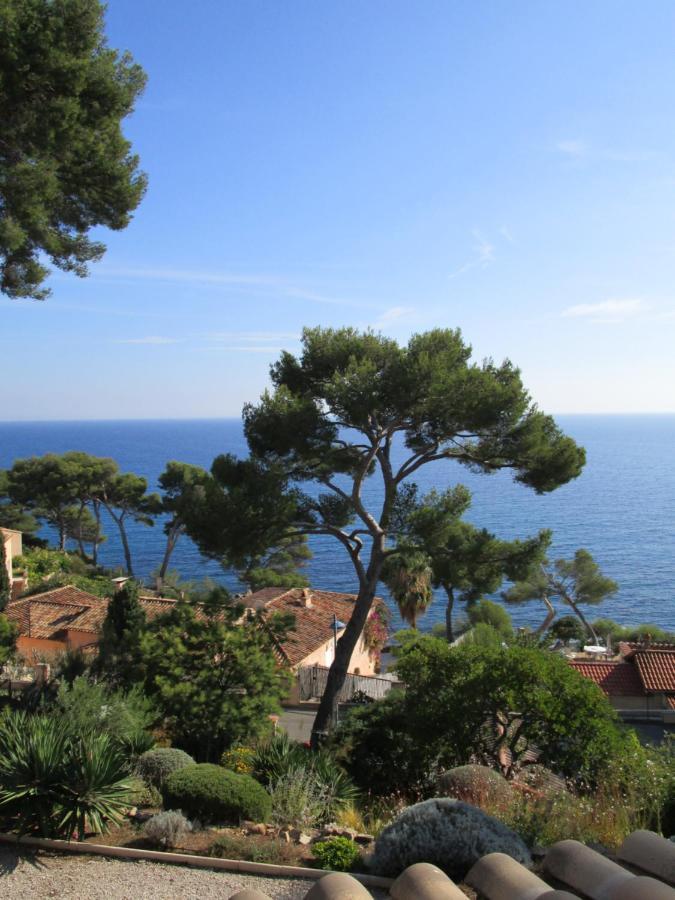 Les Bruyeres Bed & Breakfast Saint-Mandrier-sur-Mer Luaran gambar