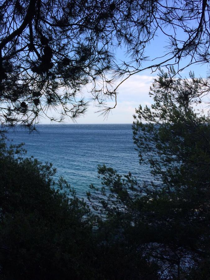 Les Bruyeres Bed & Breakfast Saint-Mandrier-sur-Mer Luaran gambar