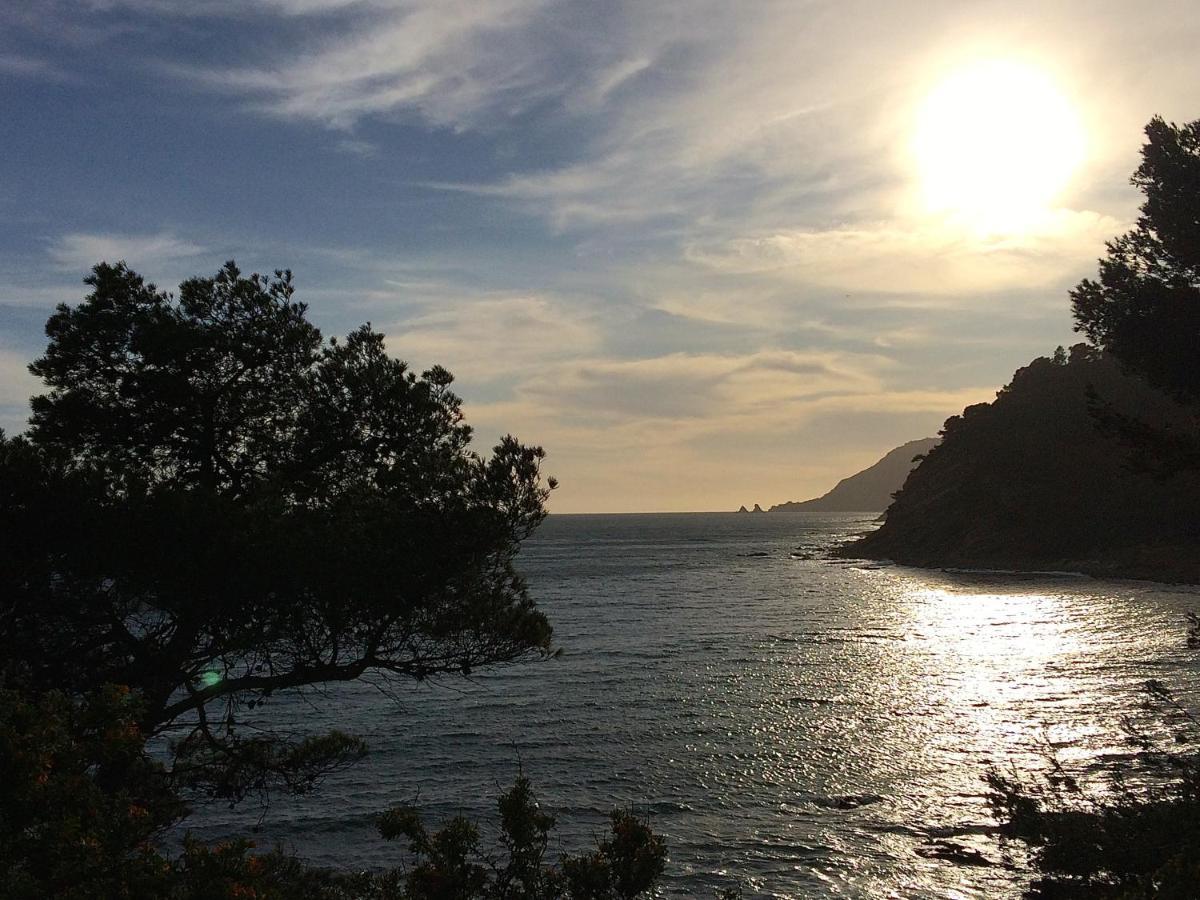 Les Bruyeres Bed & Breakfast Saint-Mandrier-sur-Mer Luaran gambar